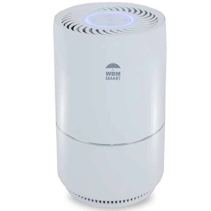 Mold Air Purifiers